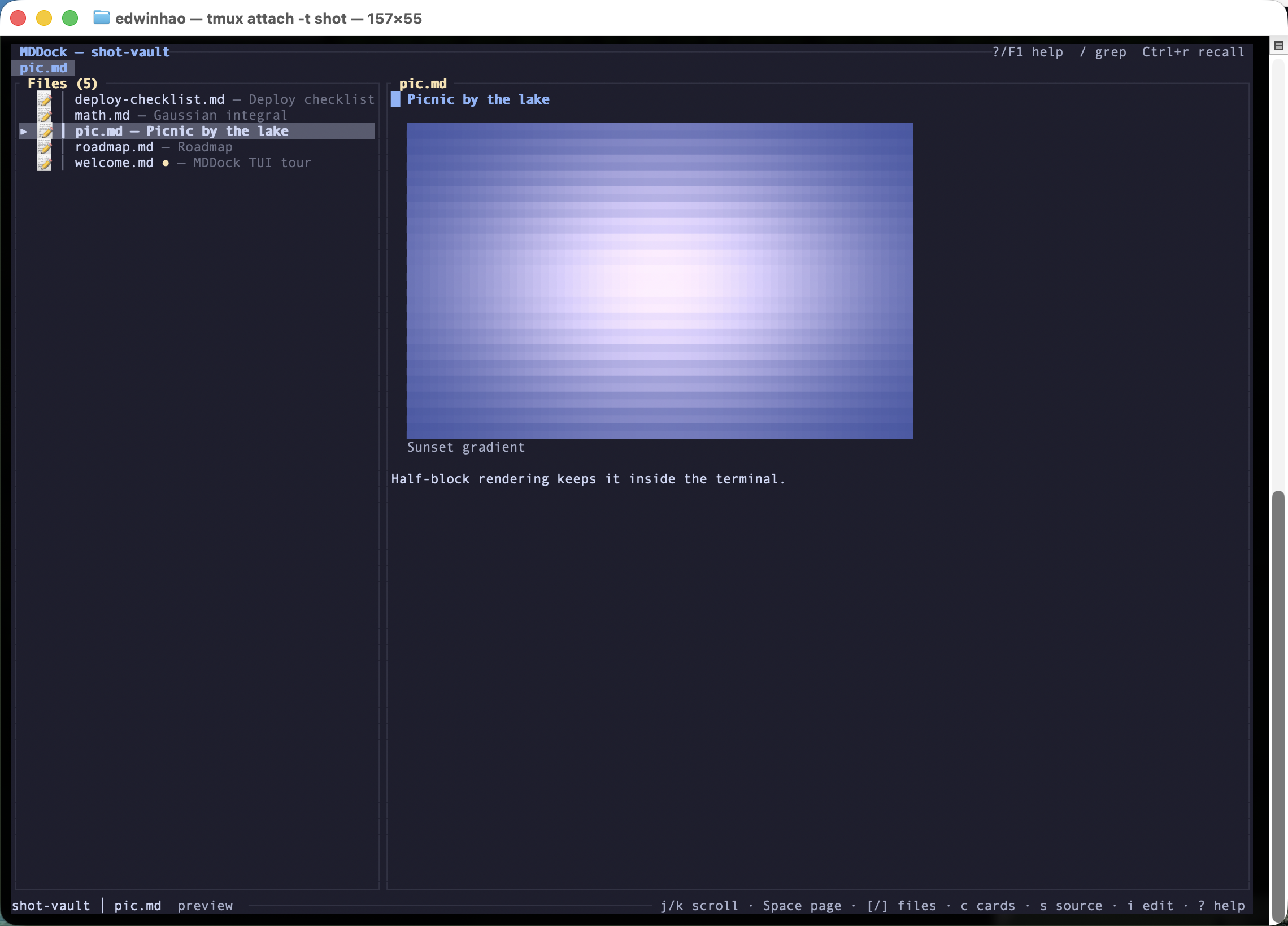 MDDock TUI preview showing a Markdown image rendered inline with true-color half-block characters.